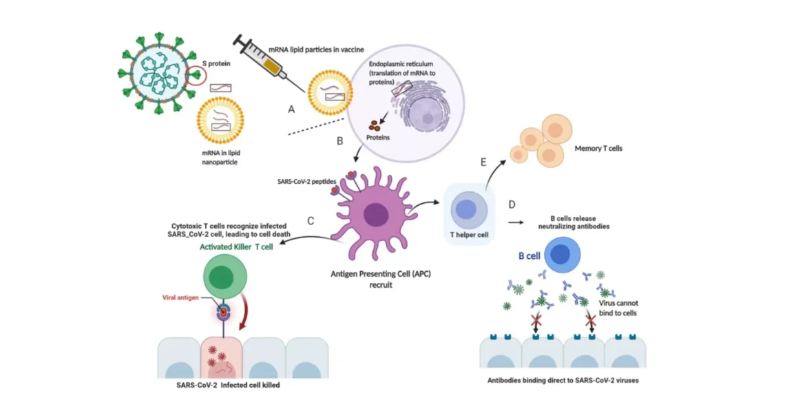 COVID-19 Vaccinology_Figure 1_Dental Resource Asia