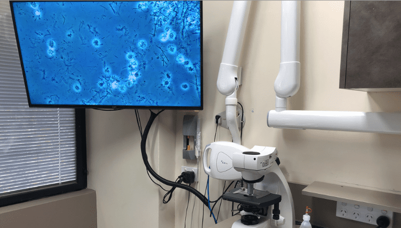 Fig. 2: The phase-contrast microscope showing a biofilm sample on a large screen